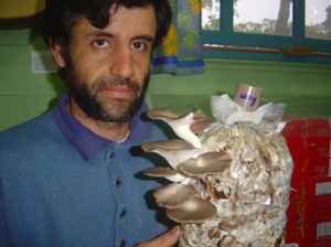 cogumelos gardel